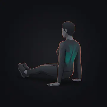 坐姿撑地抬臀