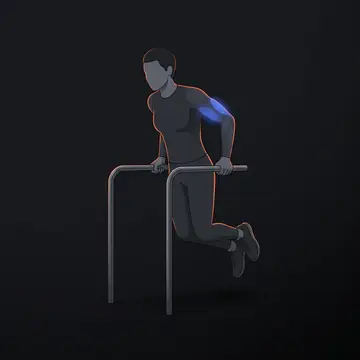 双杠臂屈伸
