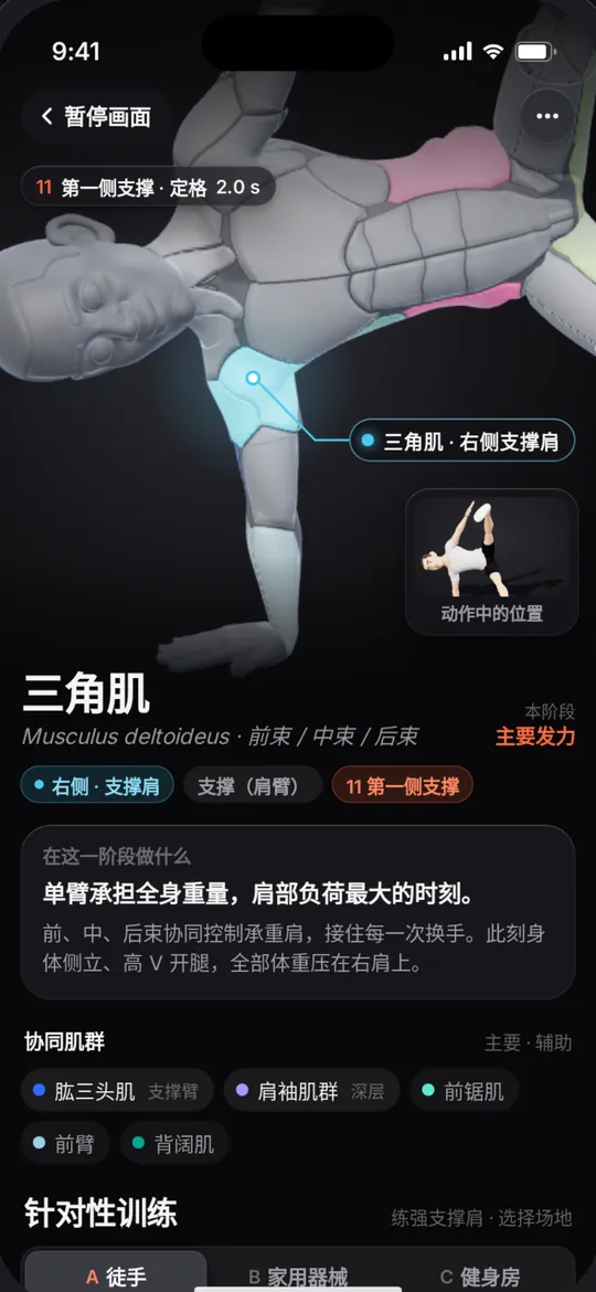 读懂发力